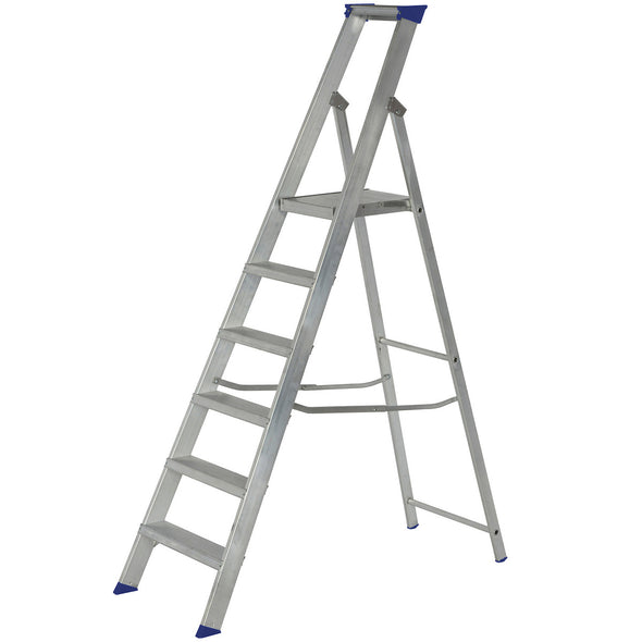 Werner 715 Series Platform Step Ladders (4801772617782)